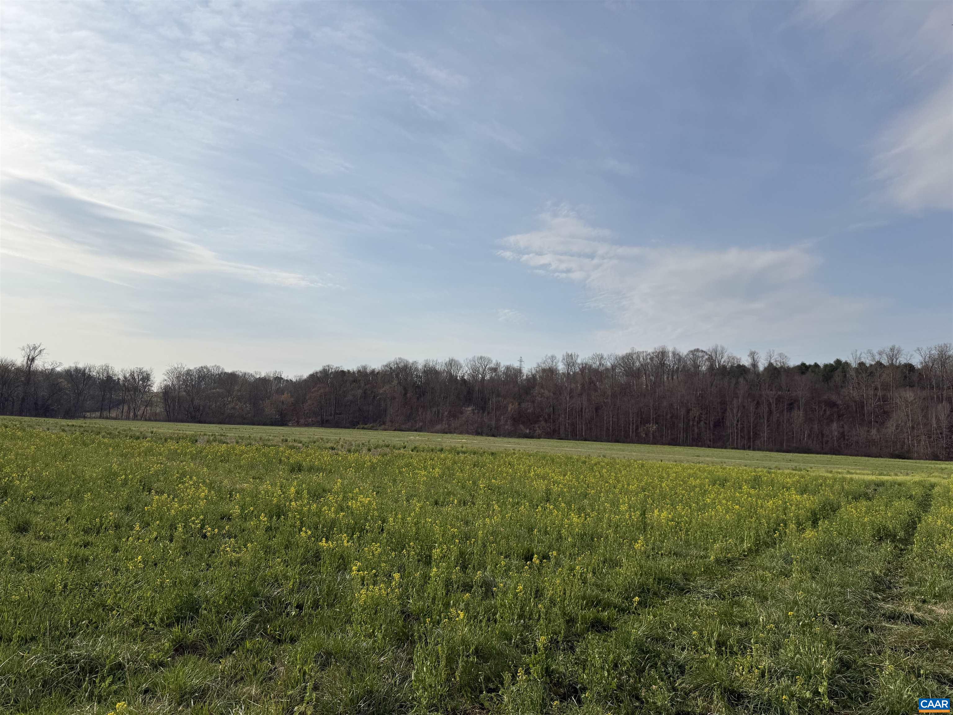 0 PAYNES POND RD, SCOTTSVILLE, Virginia 24590, ,Farm,14,0 PAYNES POND RD,677374 MLS # 677374