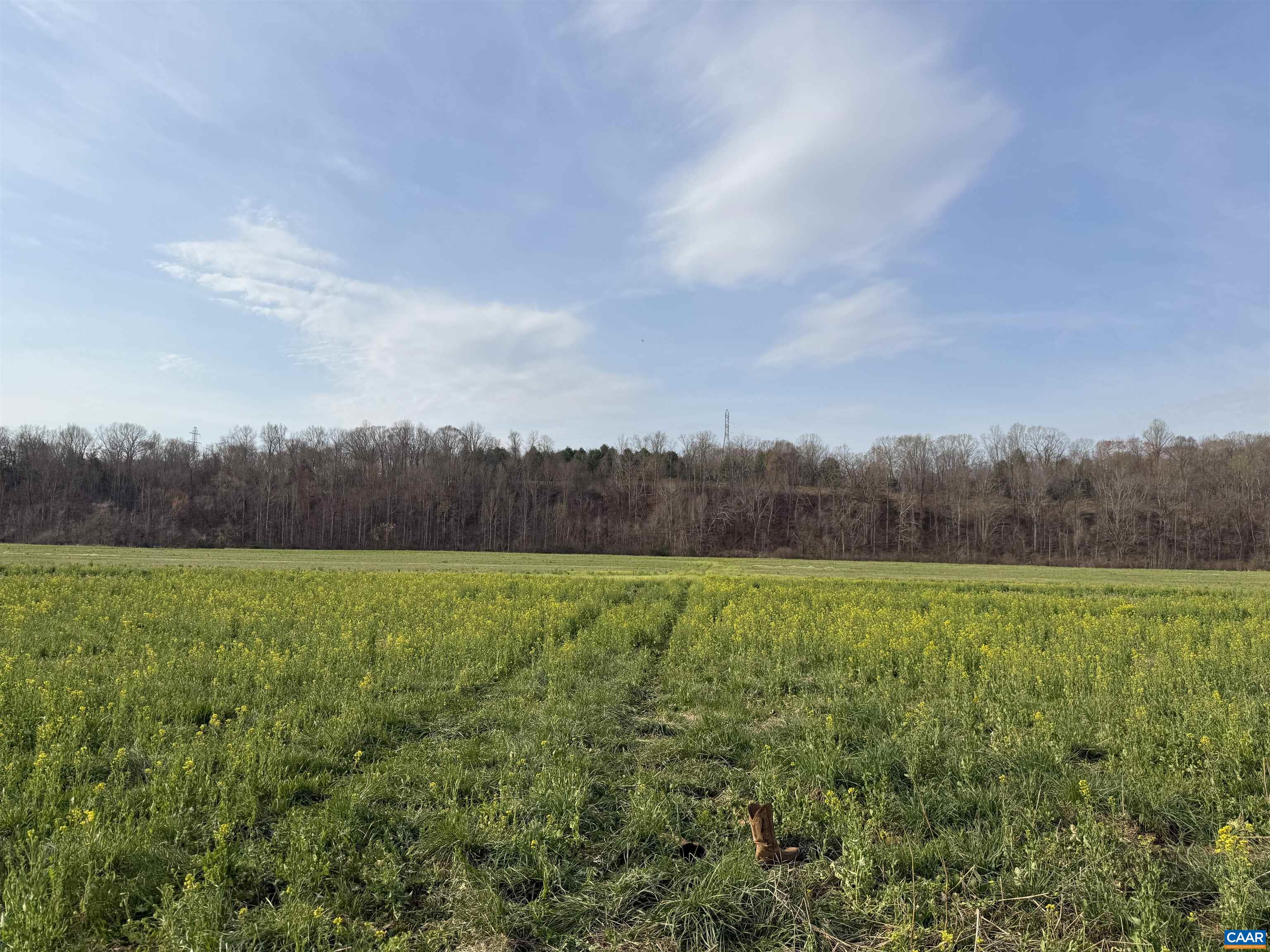 0 PAYNES POND RD, SCOTTSVILLE, Virginia 24590, ,Farm,14,0 PAYNES POND RD,677374 MLS # 677374