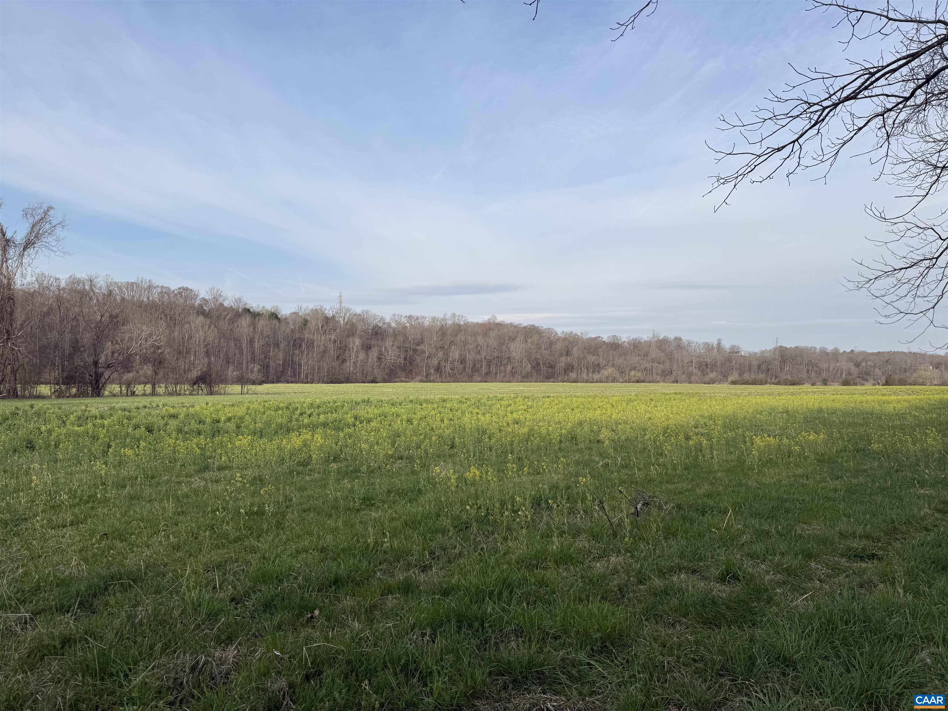 0 PAYNES POND RD, SCOTTSVILLE, Virginia 24590, ,Farm,14,0 PAYNES POND RD,677374 MLS # 677374