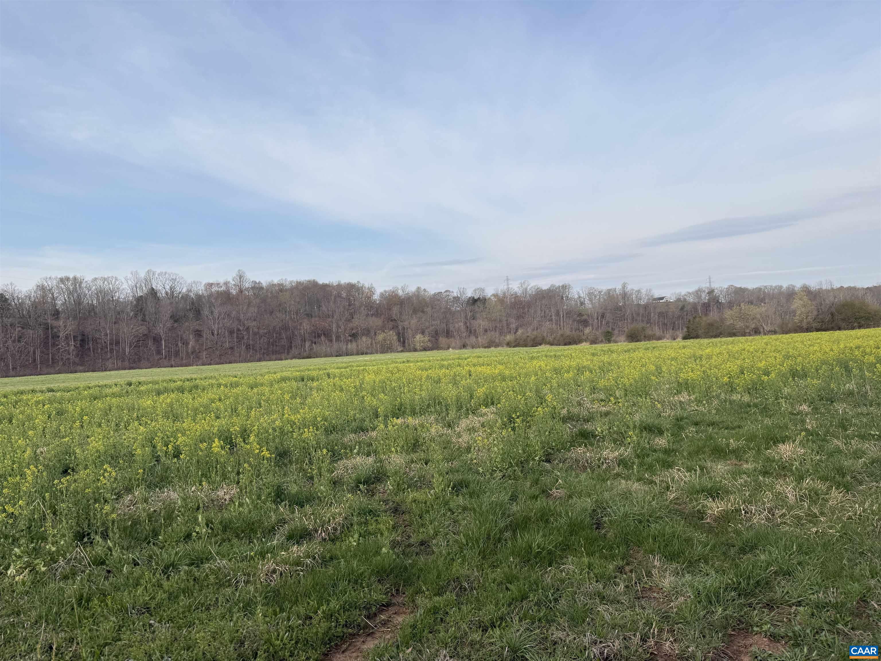 0 PAYNES POND RD, SCOTTSVILLE, Virginia 24590, ,Farm,14,0 PAYNES POND RD,677374 MLS # 677374