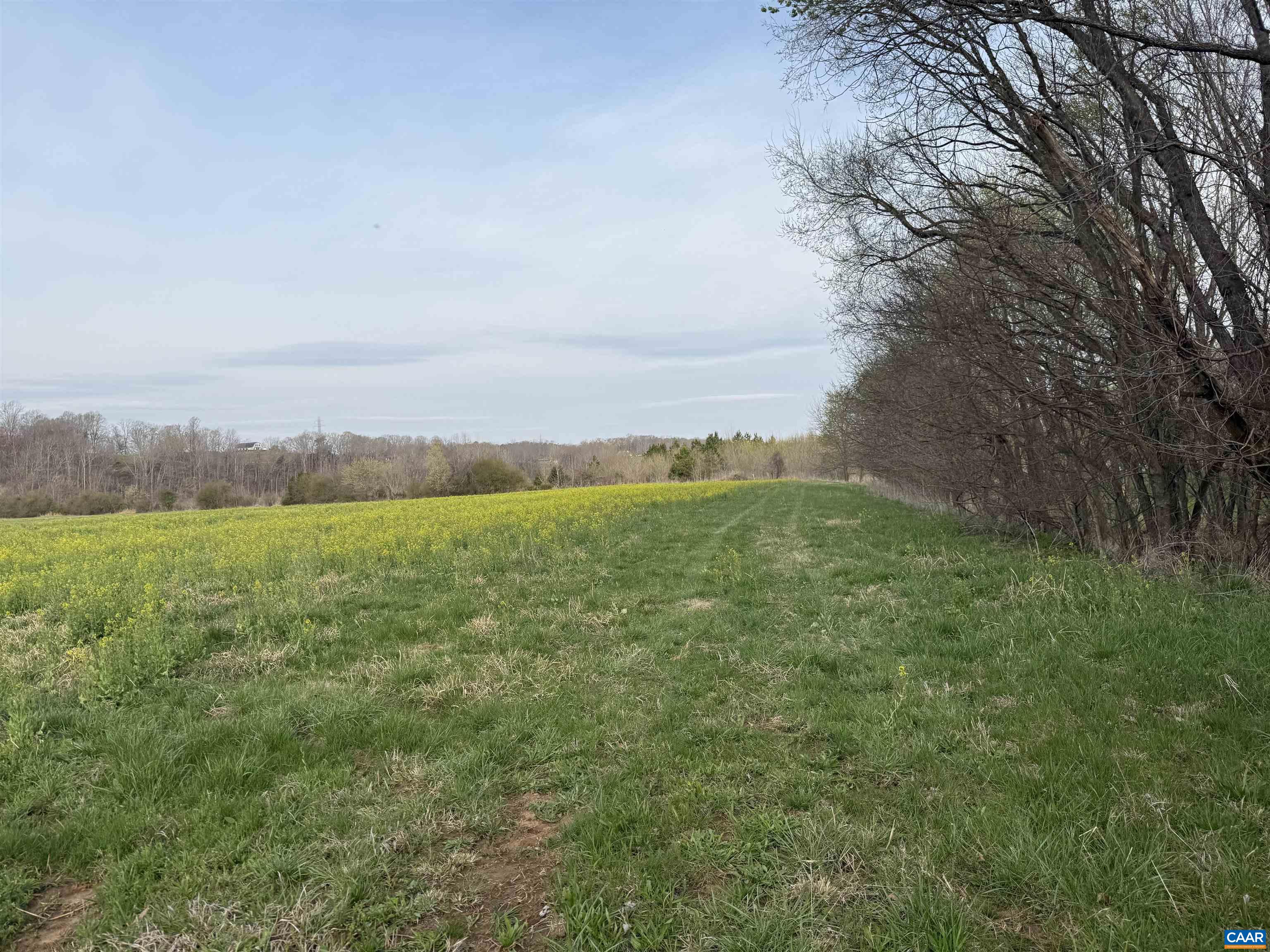 0 PAYNES POND RD, SCOTTSVILLE, Virginia 24590, ,Farm,14,0 PAYNES POND RD,677374 MLS # 677374