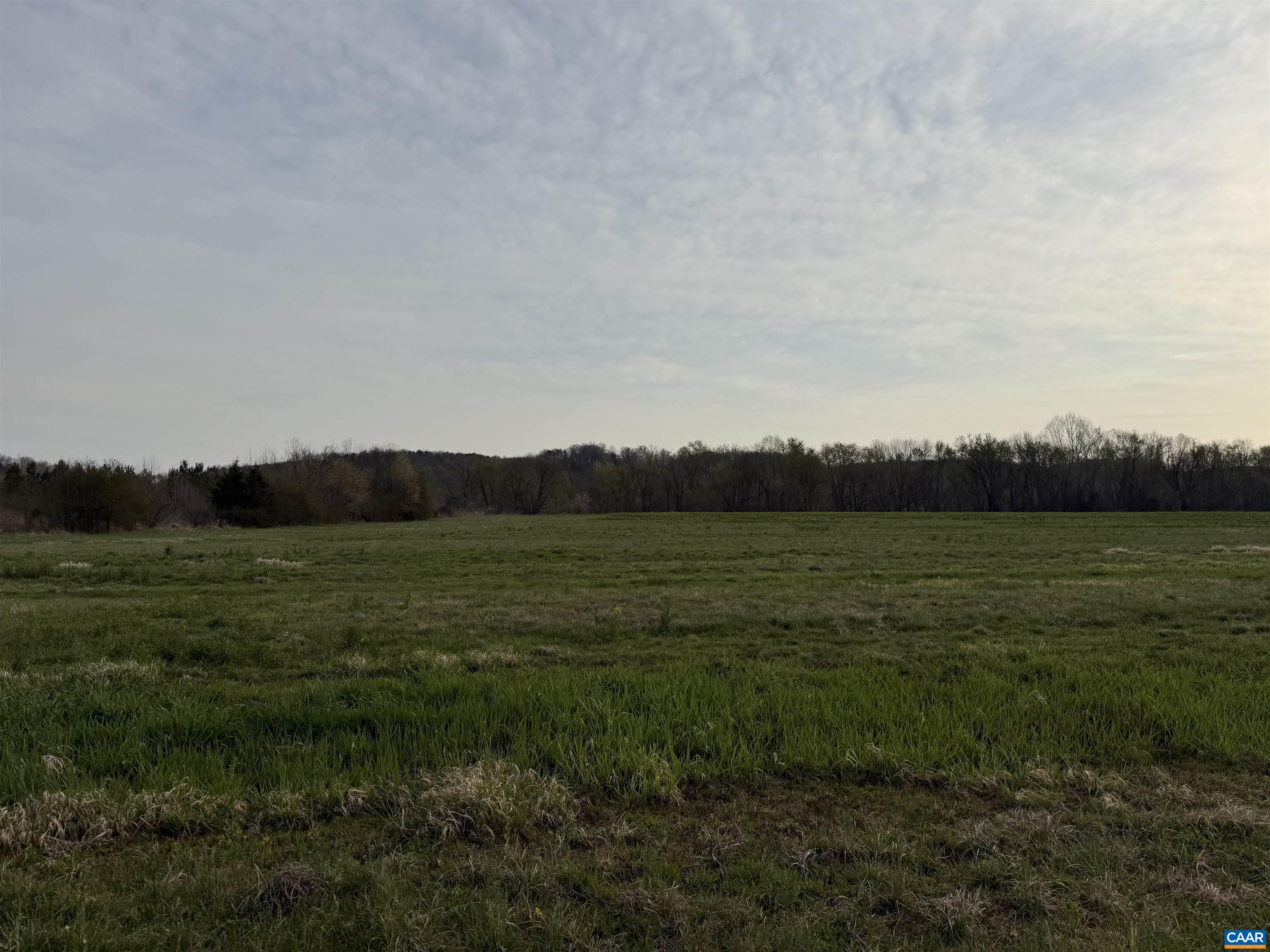 0 PAYNES POND RD, SCOTTSVILLE, Virginia 24590, ,Farm,14,0 PAYNES POND RD,677374 MLS # 677374