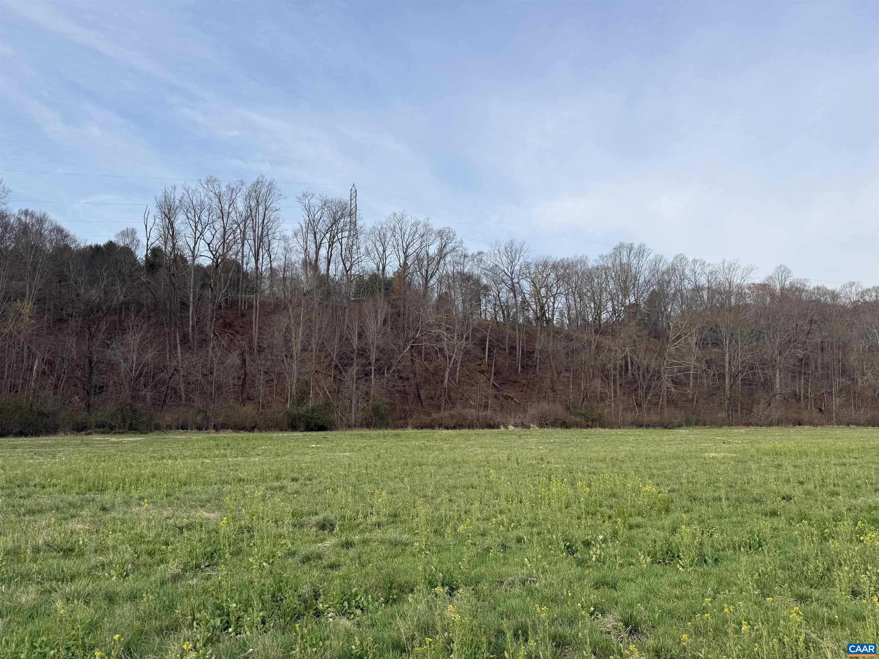 0 PAYNES POND RD, SCOTTSVILLE, Virginia 24590, ,Farm,14,0 PAYNES POND RD,677374 MLS # 677374