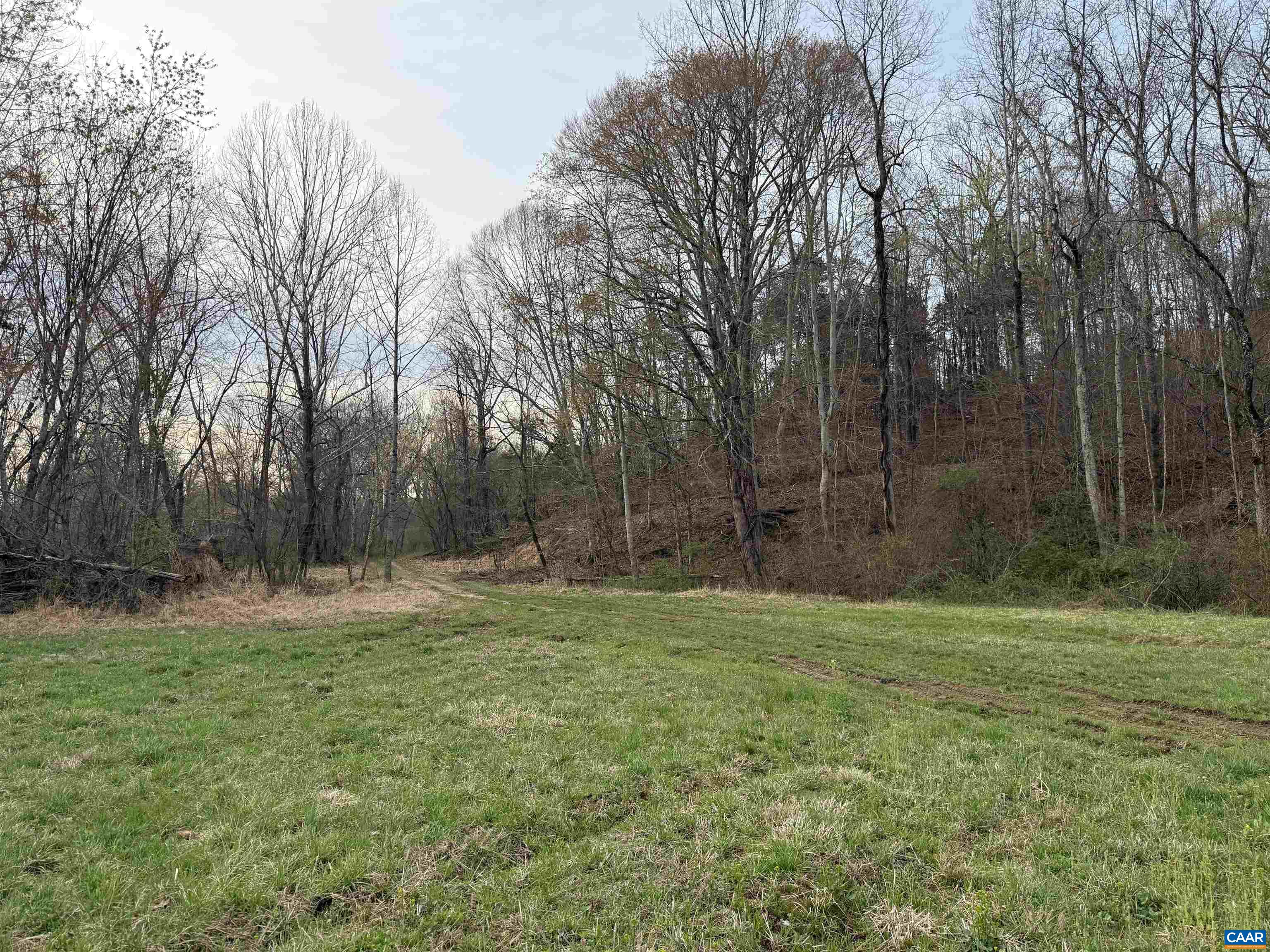 0 PAYNES POND RD, SCOTTSVILLE, Virginia 24590, ,Farm,14,0 PAYNES POND RD,677374 MLS # 677374