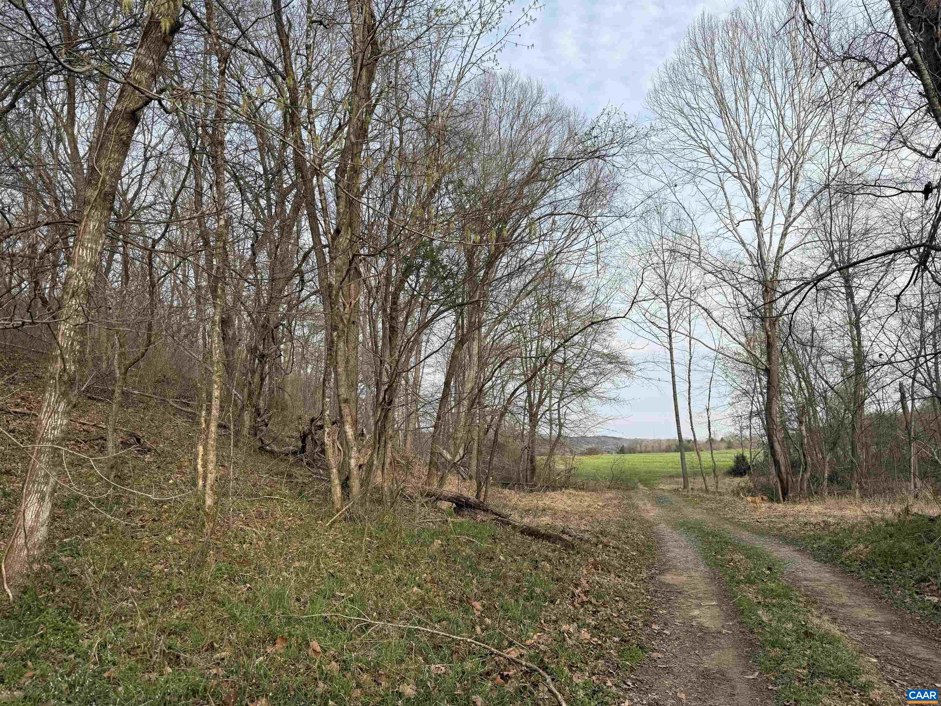0 PAYNES POND RD, SCOTTSVILLE, Virginia 24590, ,Farm,14,0 PAYNES POND RD,677374 MLS # 677374