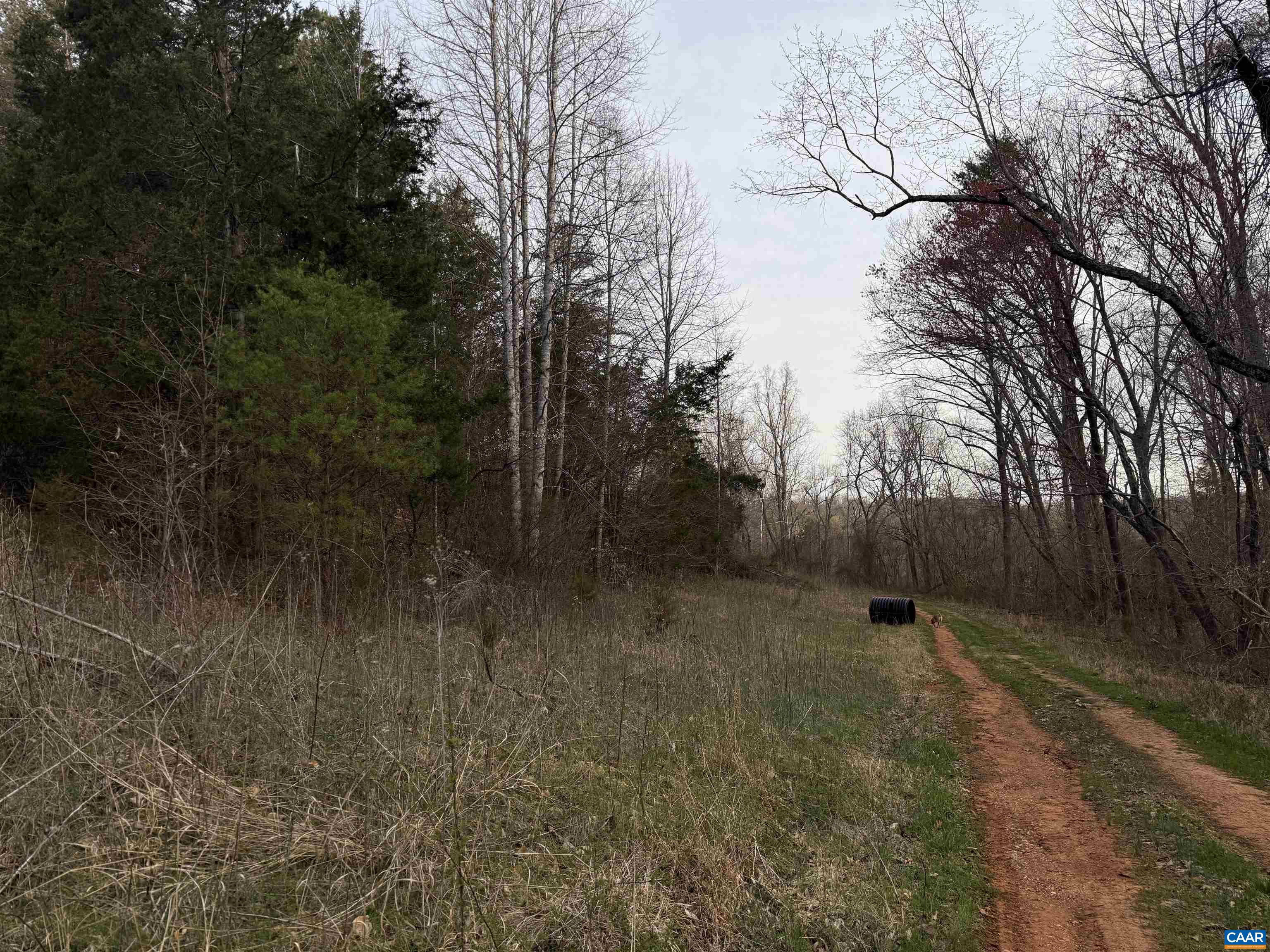 0 PAYNES POND RD, SCOTTSVILLE, Virginia 24590, ,Farm,14,0 PAYNES POND RD,677374 MLS # 677374