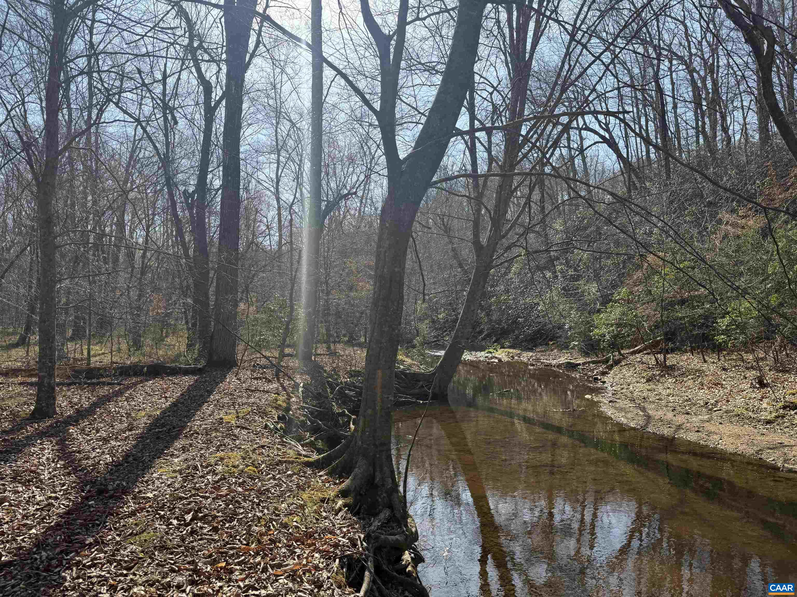 0 PAYNES POND RD, SCOTTSVILLE, Virginia 24590, ,Farm,14,0 PAYNES POND RD,677374 MLS # 677374