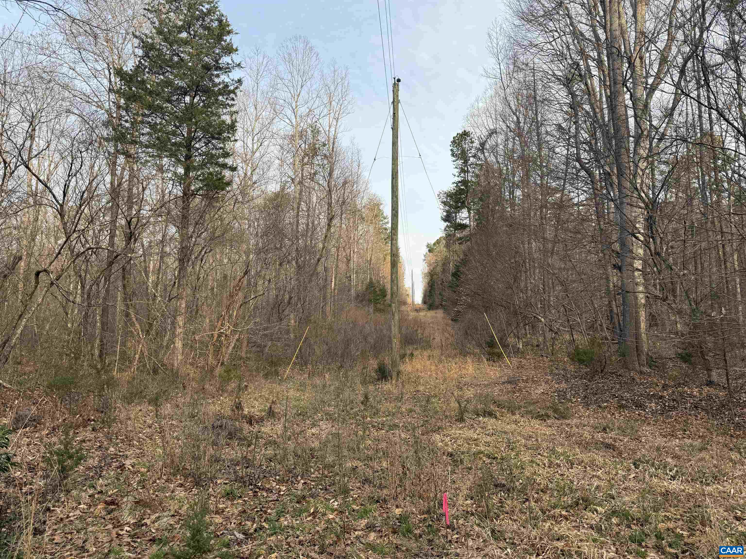 0 PAYNES POND RD, SCOTTSVILLE, Virginia 24590, ,Farm,14,0 PAYNES POND RD,677374 MLS # 677374
