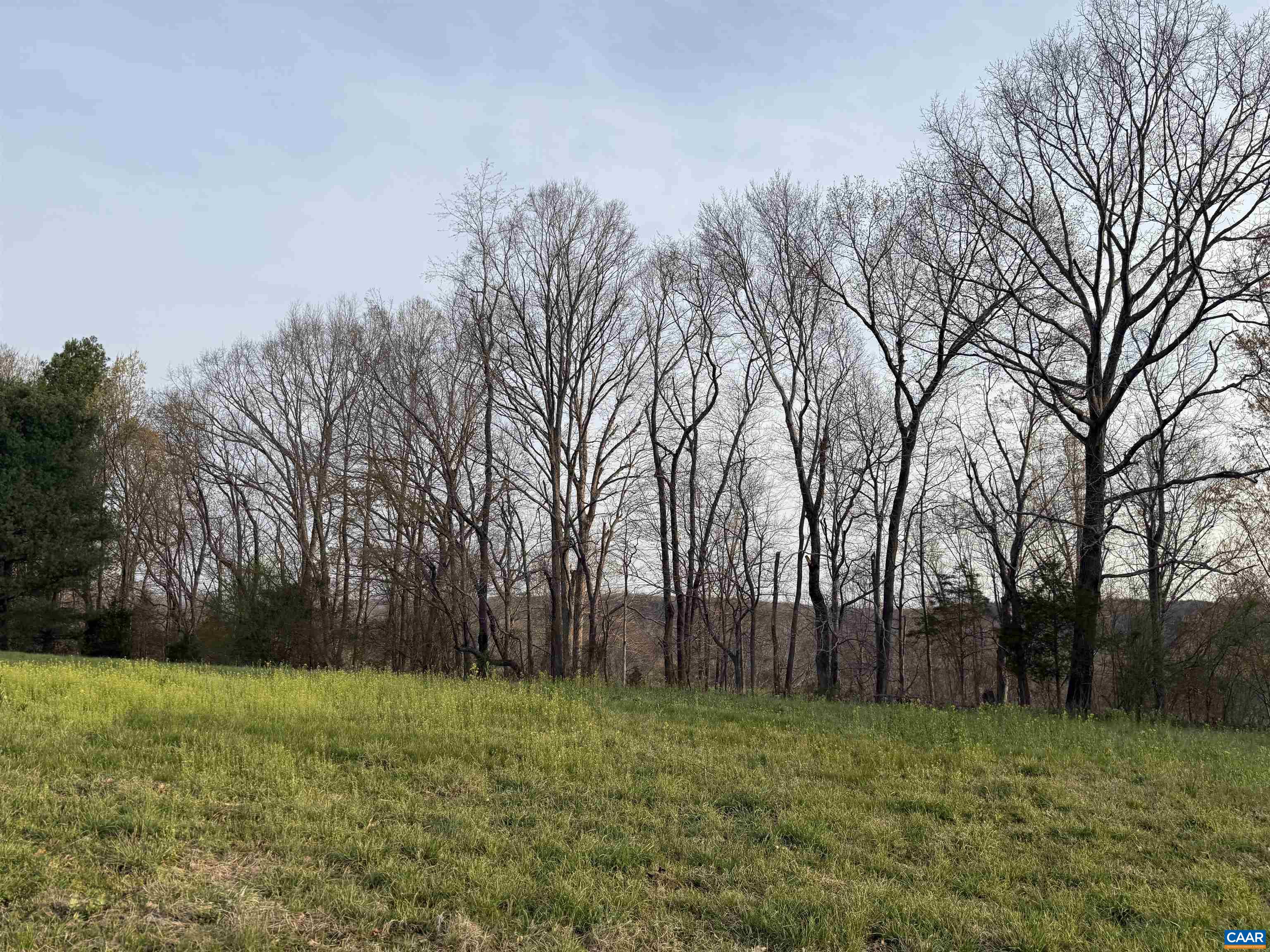 0 PAYNES POND RD, SCOTTSVILLE, Virginia 24590, ,Farm,14,0 PAYNES POND RD,677374 MLS # 677374