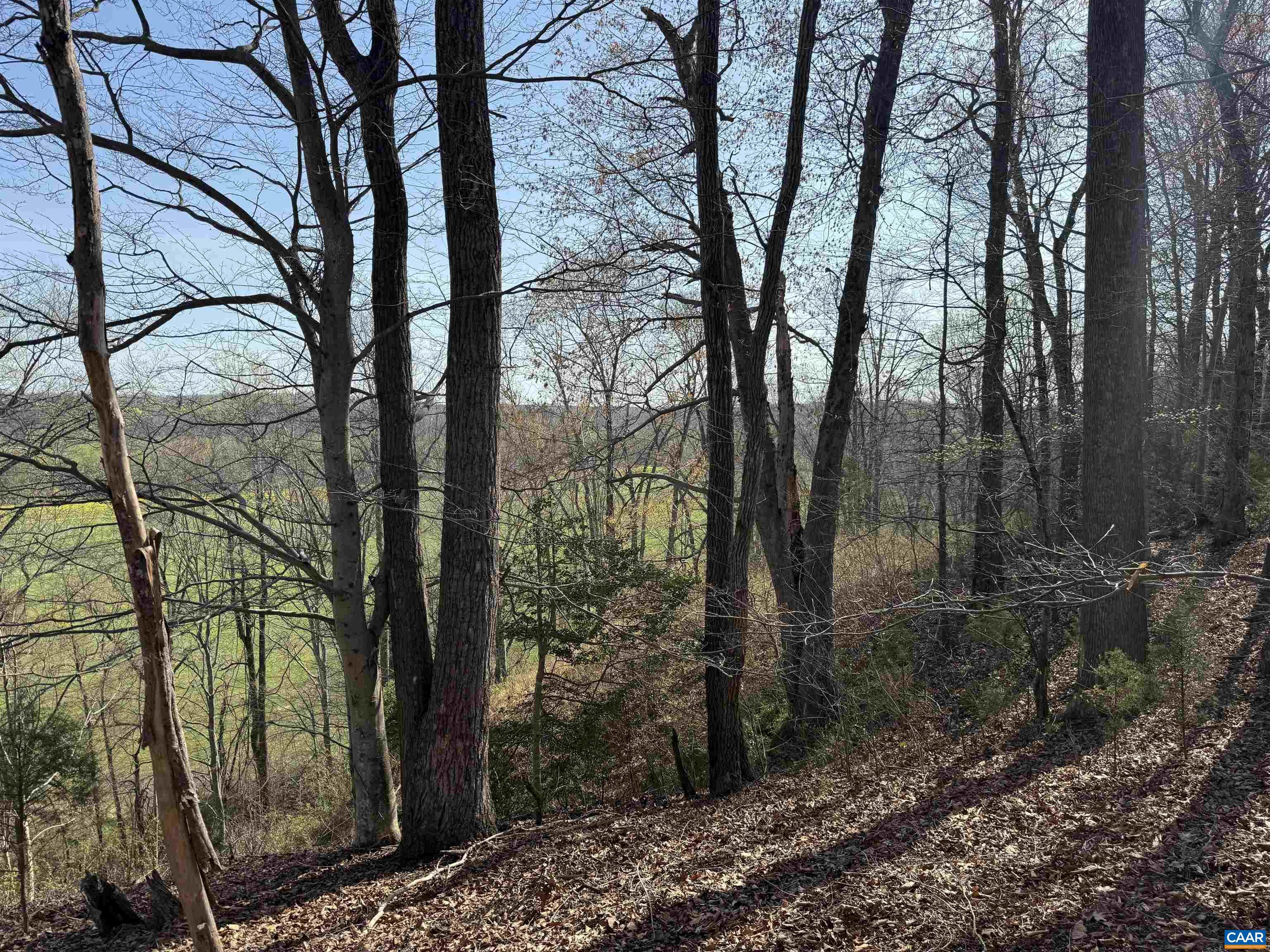 0 PAYNES POND RD, SCOTTSVILLE, Virginia 24590, ,Farm,14,0 PAYNES POND RD,677374 MLS # 677374