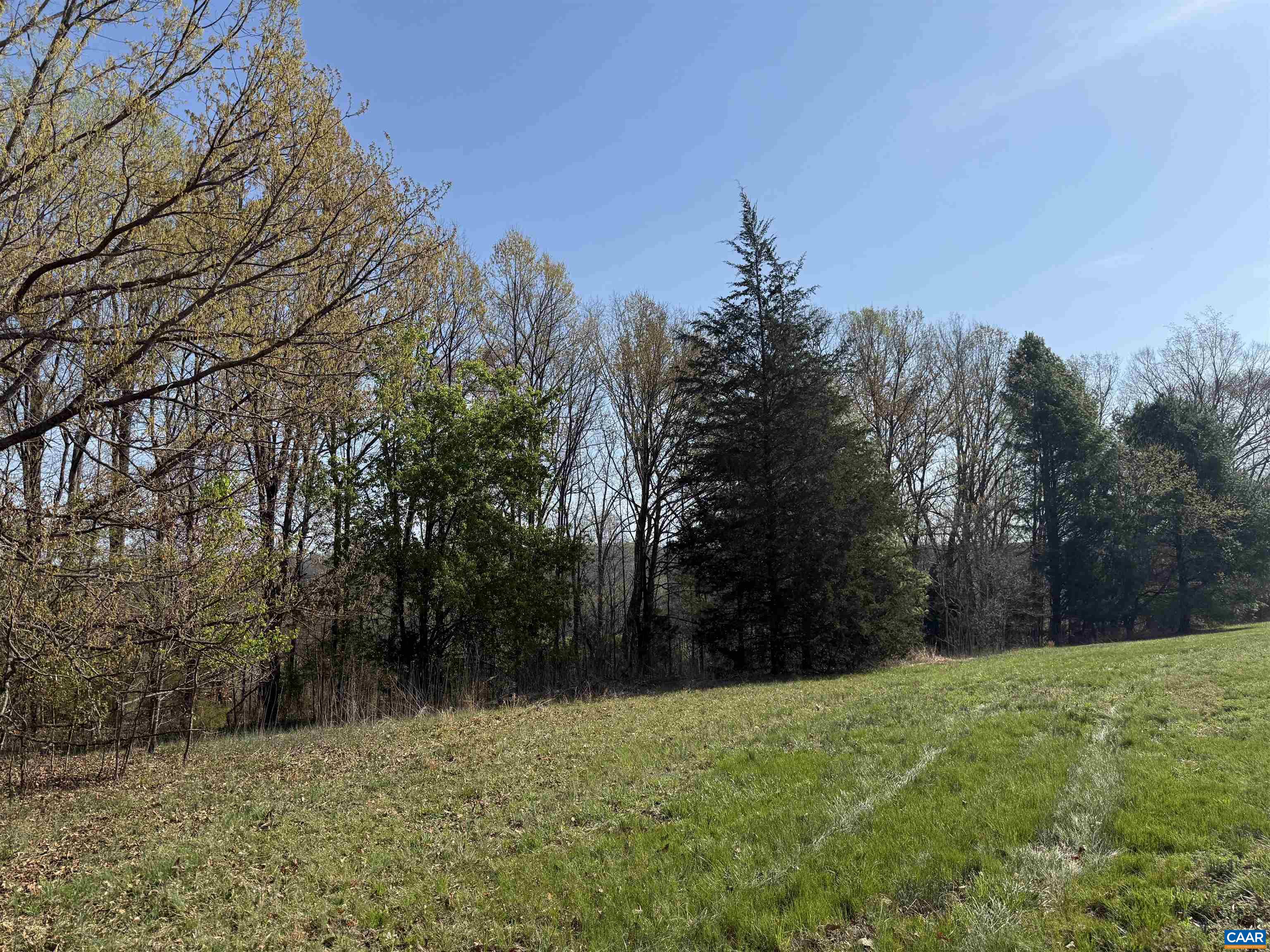 0 PAYNES POND RD, SCOTTSVILLE, Virginia 24590, ,Farm,14,0 PAYNES POND RD,677374 MLS # 677374