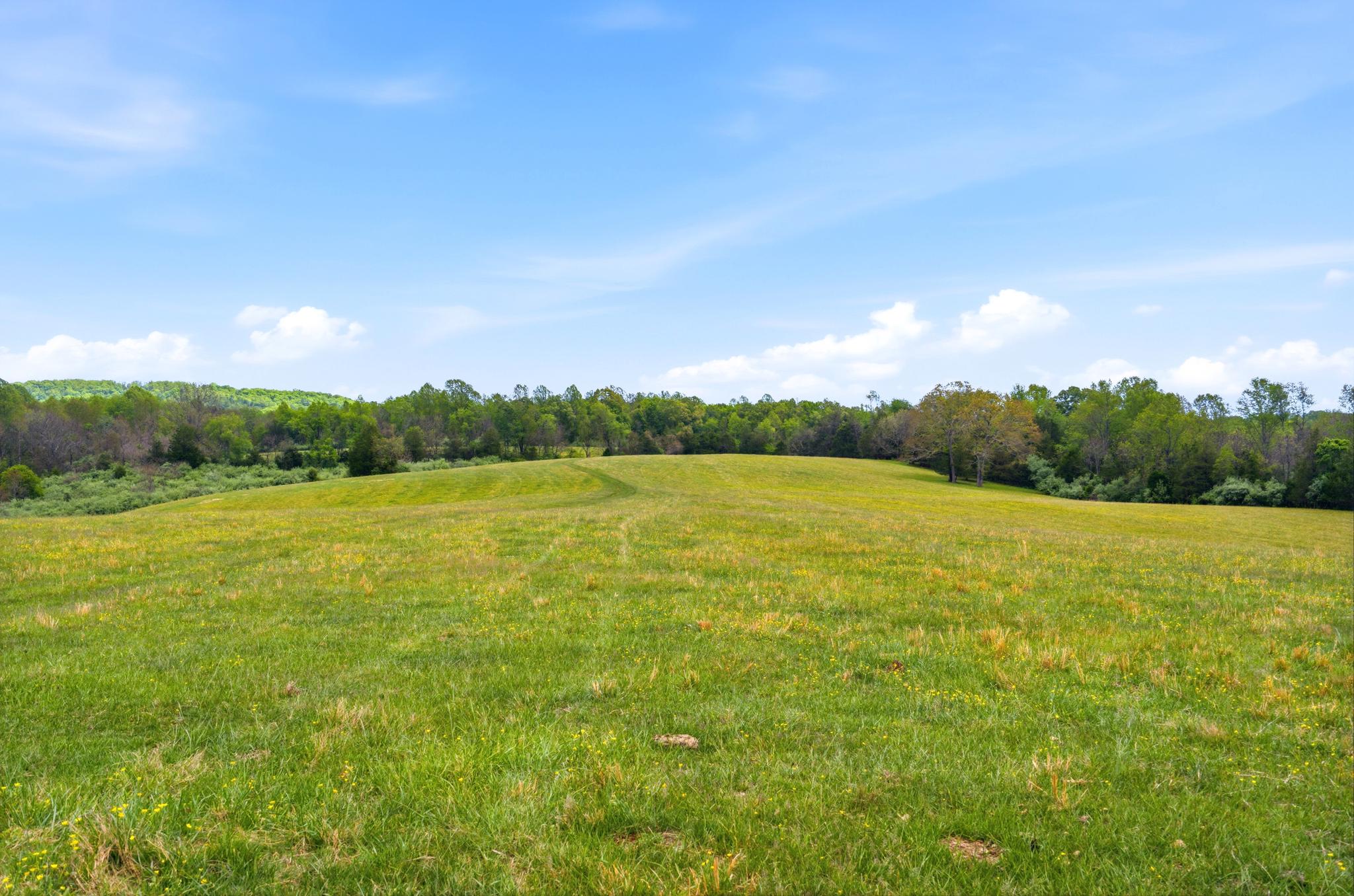 15 CHILTON LN, SPERRYVILLE, Virginia 22740, 3 Bedrooms Bedrooms, ,2 BathroomsBathrooms,Residential,14,15 CHILTON LN,VARP2002662 MLS # VARP2002662