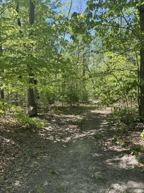 DAVIS LN, ARODA, Virginia 22709, ,Farm,14,DAVIS LN,VAMA2002794 MLS # VAMA2002794