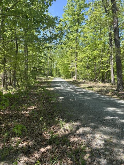 DAVIS LN, ARODA, Virginia 22709, ,Farm,14,DAVIS LN,VAMA2002794 MLS # VAMA2002794