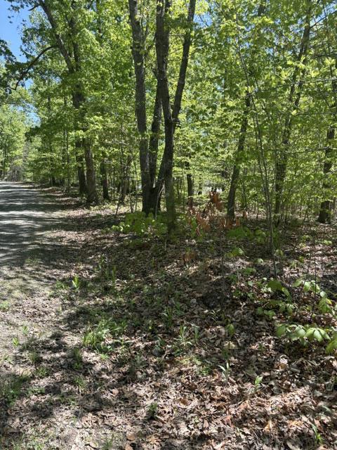 DAVIS LN, ARODA, Virginia 22709, ,Farm,14,DAVIS LN,VAMA2002794 MLS # VAMA2002794