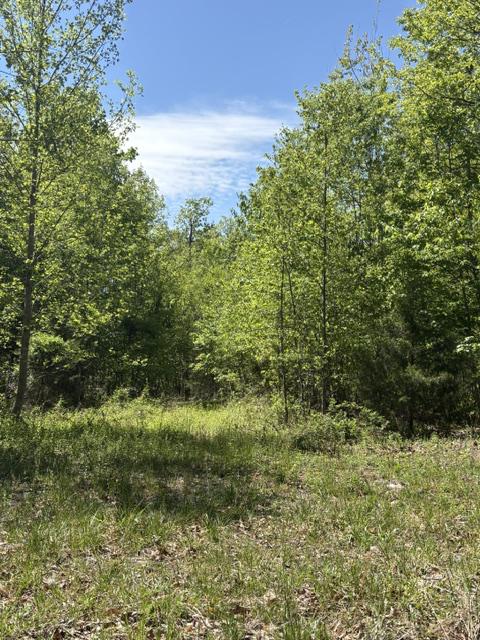 DAVIS LN, ARODA, Virginia 22709, ,Farm,14,DAVIS LN,VAMA2002794 MLS # VAMA2002794