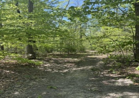 DAVIS LN, ARODA, Virginia 22709, ,Farm,14,DAVIS LN,VAMA2002794 MLS # VAMA2002794 DAVIS LN, ARODA, Virginia 22709, ,Farm,14,DAVIS LN,VAMA2002794 MLS # VAMA2002794