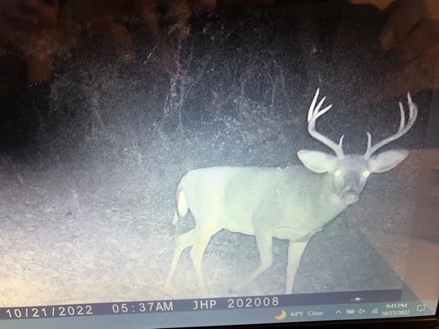 ROCKY BRANCH RD, LURAY, Virginia 22835, ,Farm,14,ROCKY BRANCH RD,669297 MLS # 669297