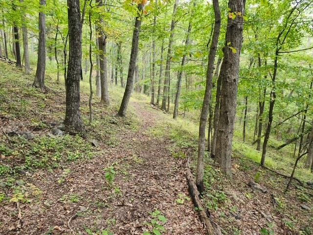 ROCKY BRANCH RD, LURAY, Virginia 22835, ,Farm,14,ROCKY BRANCH RD,669297 MLS # 669297