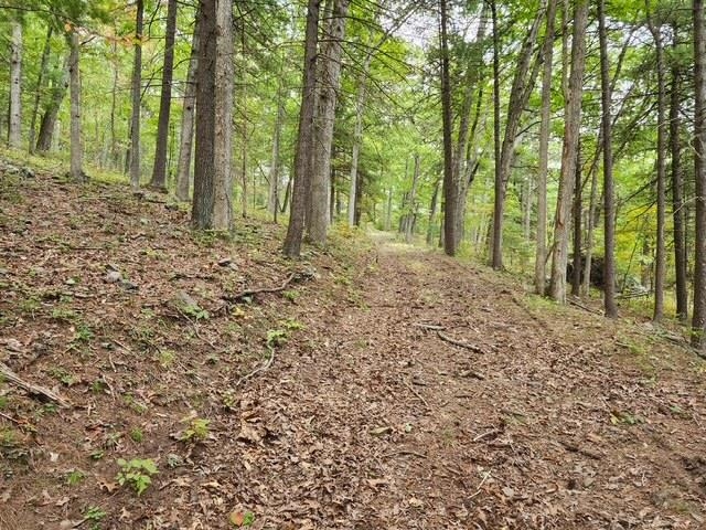 ROCKY BRANCH RD, LURAY, Virginia 22835, ,Farm,14,ROCKY BRANCH RD,669297 MLS # 669297