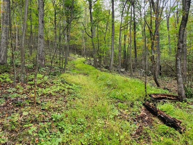 ROCKY BRANCH RD, LURAY, Virginia 22835, ,Farm,14,ROCKY BRANCH RD,669297 MLS # 669297