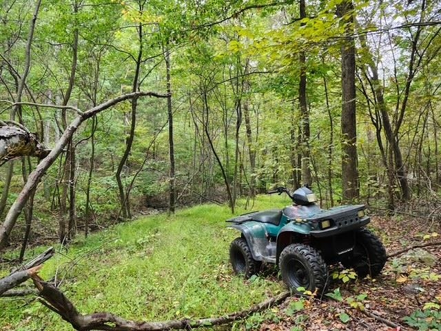 ROCKY BRANCH RD, LURAY, Virginia 22835, ,Farm,14,ROCKY BRANCH RD,669297 MLS # 669297