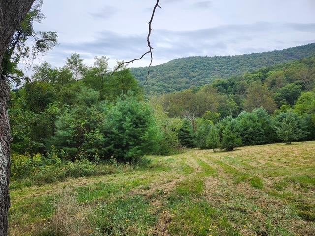 ROCKY BRANCH RD, LURAY, Virginia 22835, ,Farm,14,ROCKY BRANCH RD,669297 MLS # 669297