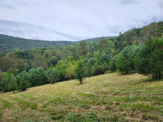 ROCKY BRANCH RD, LURAY, Virginia 22835, ,Farm,14,ROCKY BRANCH RD,669297 MLS # 669297