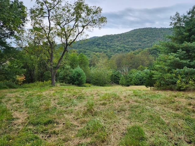 ROCKY BRANCH RD, LURAY, Virginia 22835, ,Farm,14,ROCKY BRANCH RD,669297 MLS # 669297