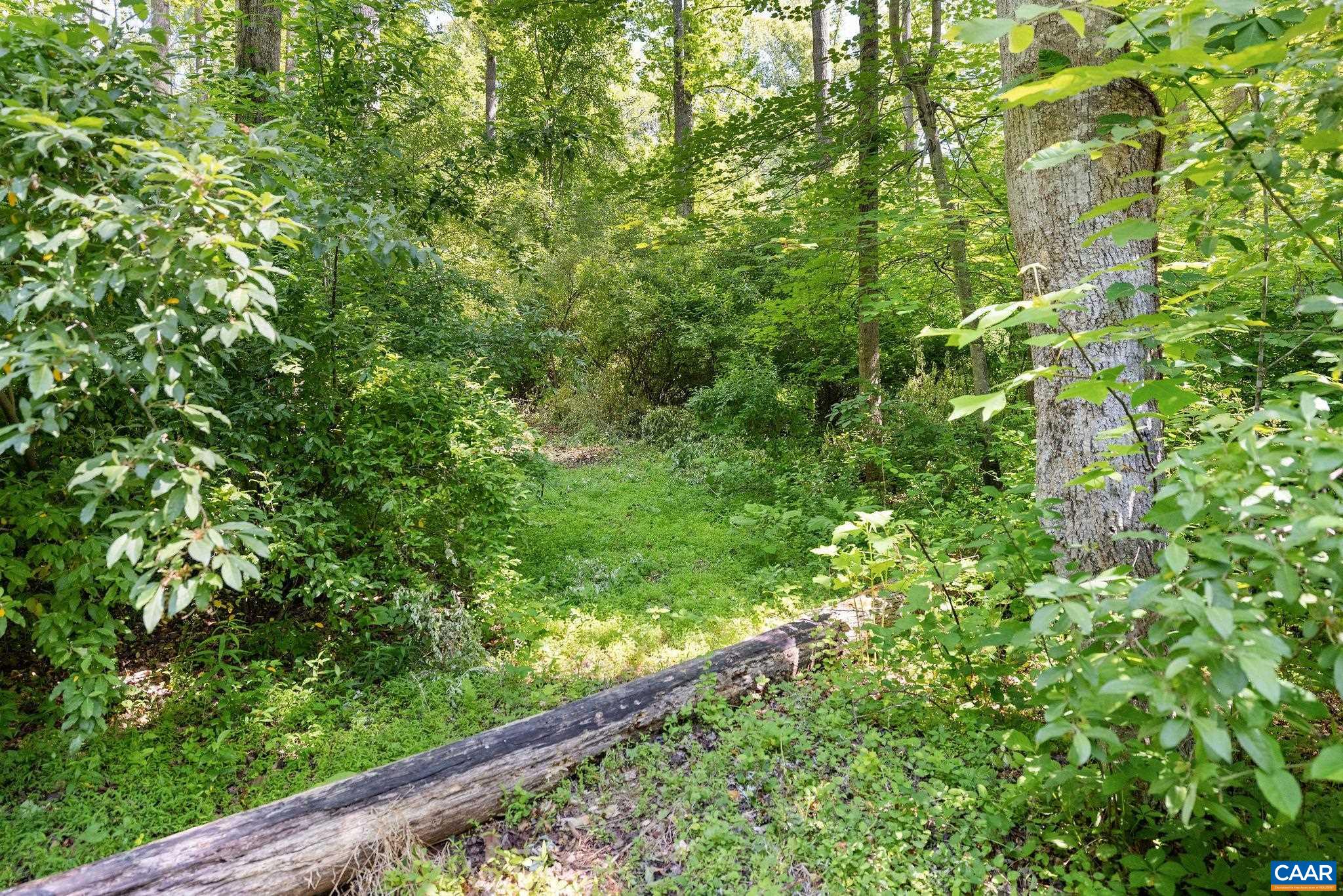 TBD POORHOUSE RD, CHARLOTTESVILLE, Virginia 22903, ,Farm,14,TBD POORHOUSE RD,677545 MLS # 677545