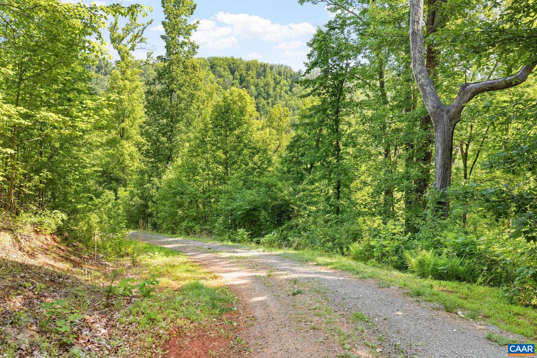 TBD POORHOUSE RD, CHARLOTTESVILLE, Virginia 22903, ,Farm,14,TBD POORHOUSE RD,677545 MLS # 677545