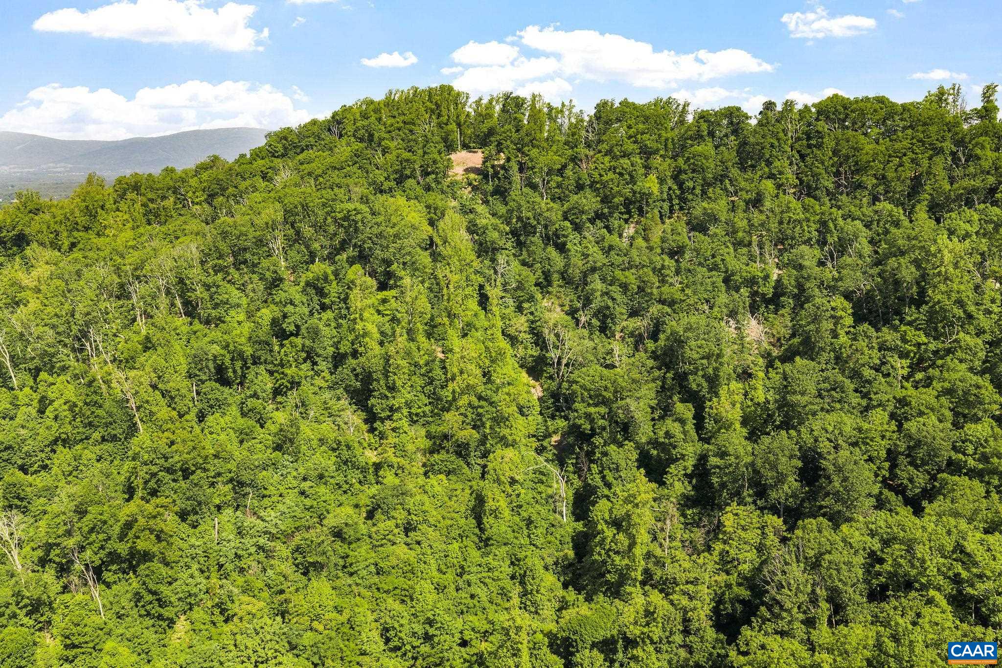 TBD POORHOUSE RD, CHARLOTTESVILLE, Virginia 22903, ,Farm,14,TBD POORHOUSE RD,677545 MLS # 677545