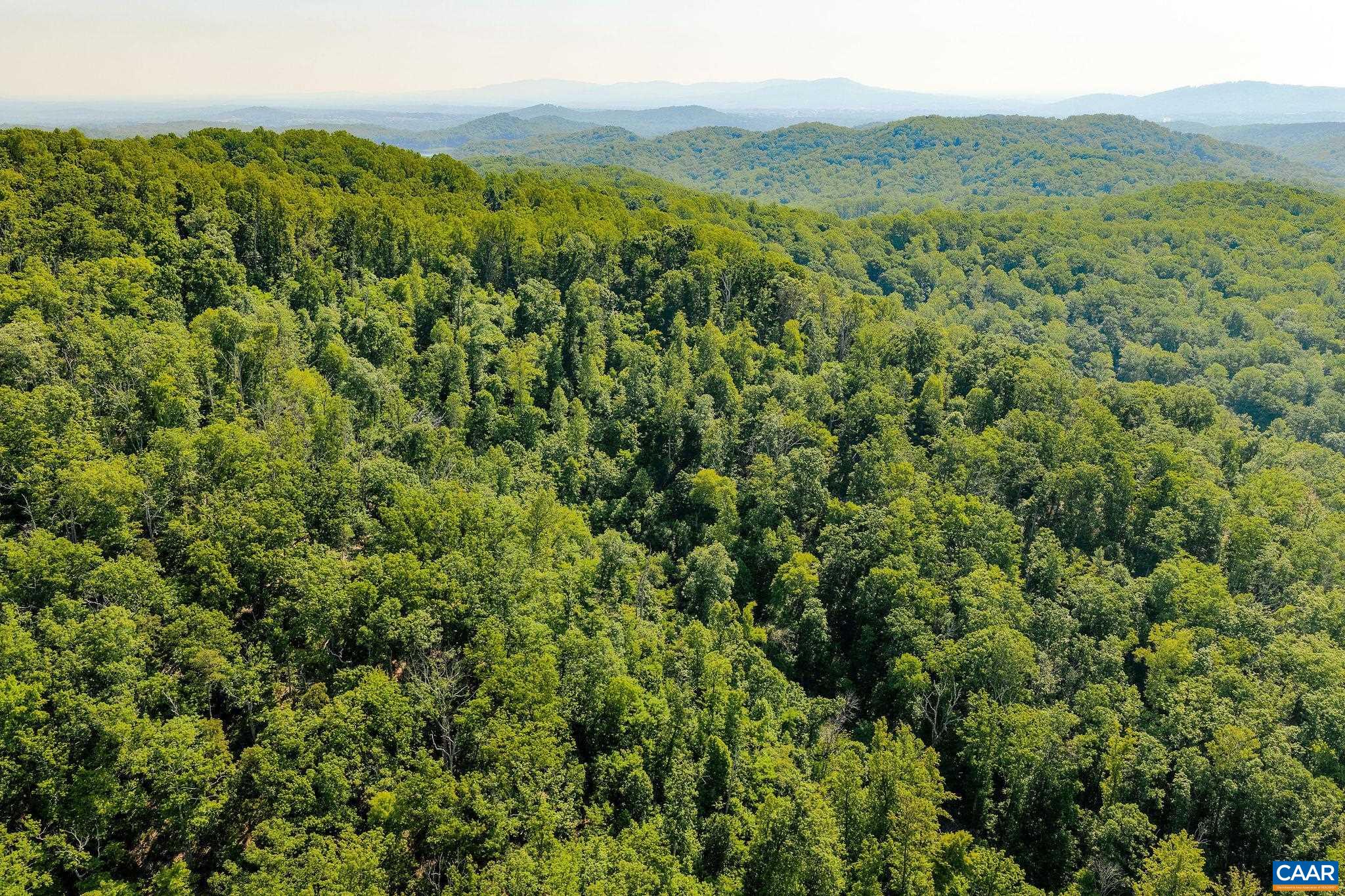 TBD POORHOUSE RD, CHARLOTTESVILLE, Virginia 22903, ,Farm,14,TBD POORHOUSE RD,677545 MLS # 677545