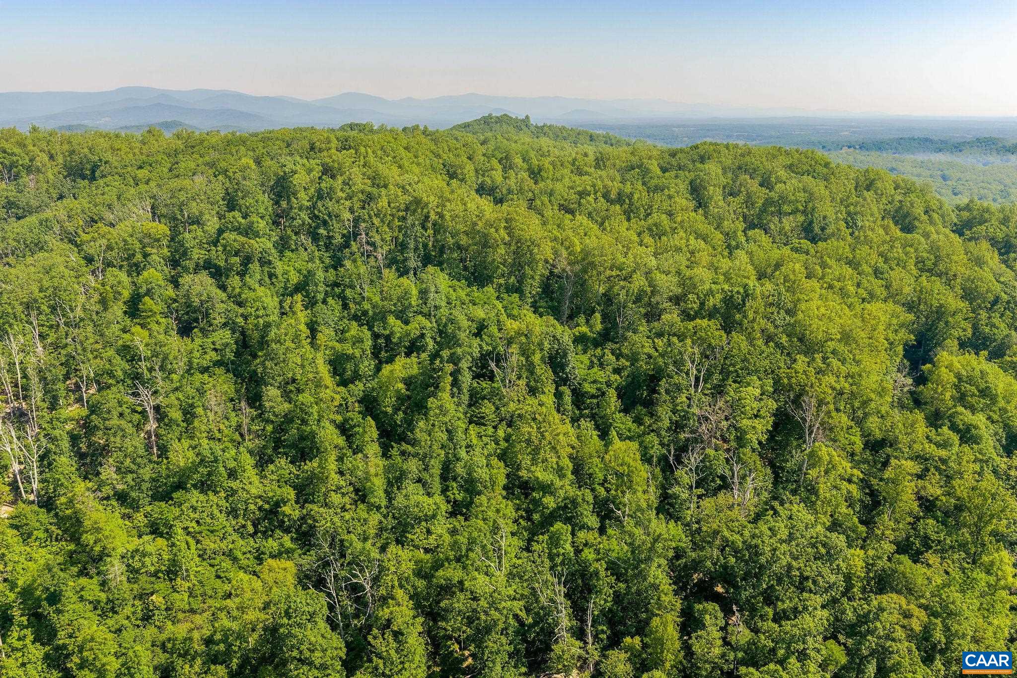 TBD POORHOUSE RD, CHARLOTTESVILLE, Virginia 22903, ,Farm,14,TBD POORHOUSE RD,677545 MLS # 677545