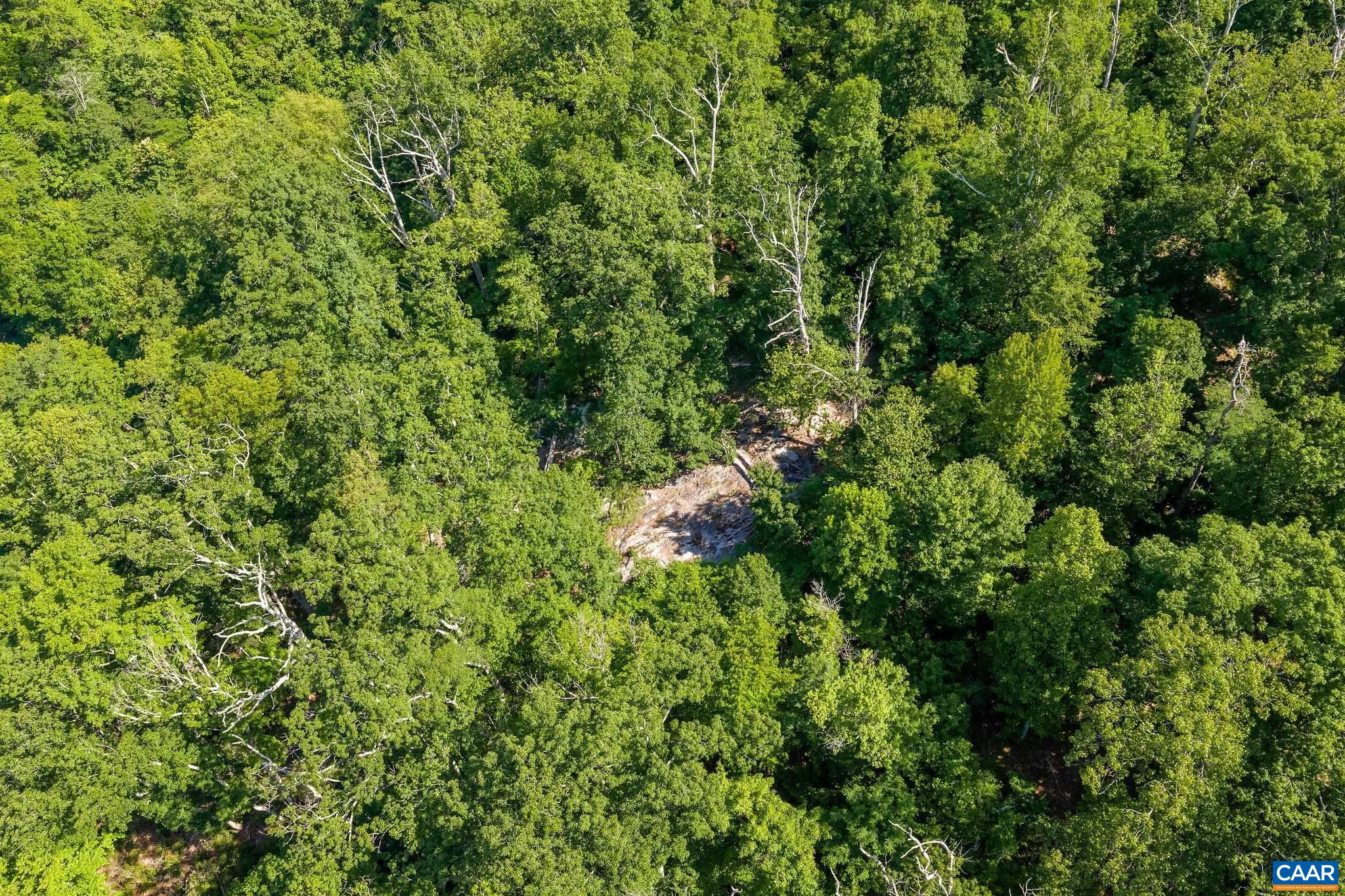 TBD POORHOUSE RD, CHARLOTTESVILLE, Virginia 22903, ,Farm,14,TBD POORHOUSE RD,677545 MLS # 677545