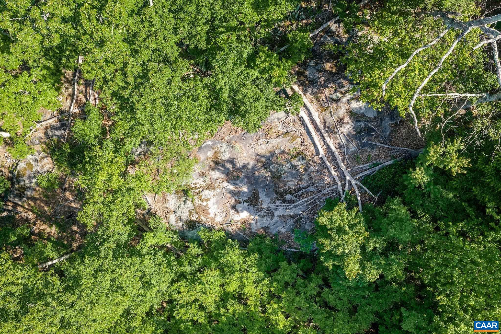 TBD POORHOUSE RD, CHARLOTTESVILLE, Virginia 22903, ,Farm,14,TBD POORHOUSE RD,677545 MLS # 677545