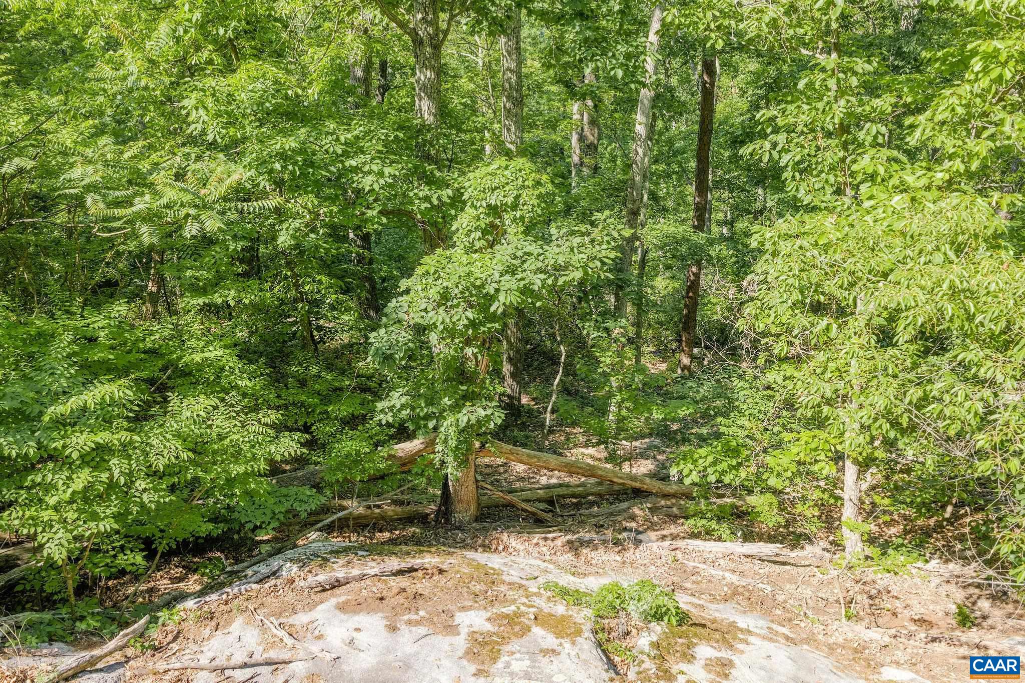 TBD POORHOUSE RD, CHARLOTTESVILLE, Virginia 22903, ,Farm,14,TBD POORHOUSE RD,677545 MLS # 677545