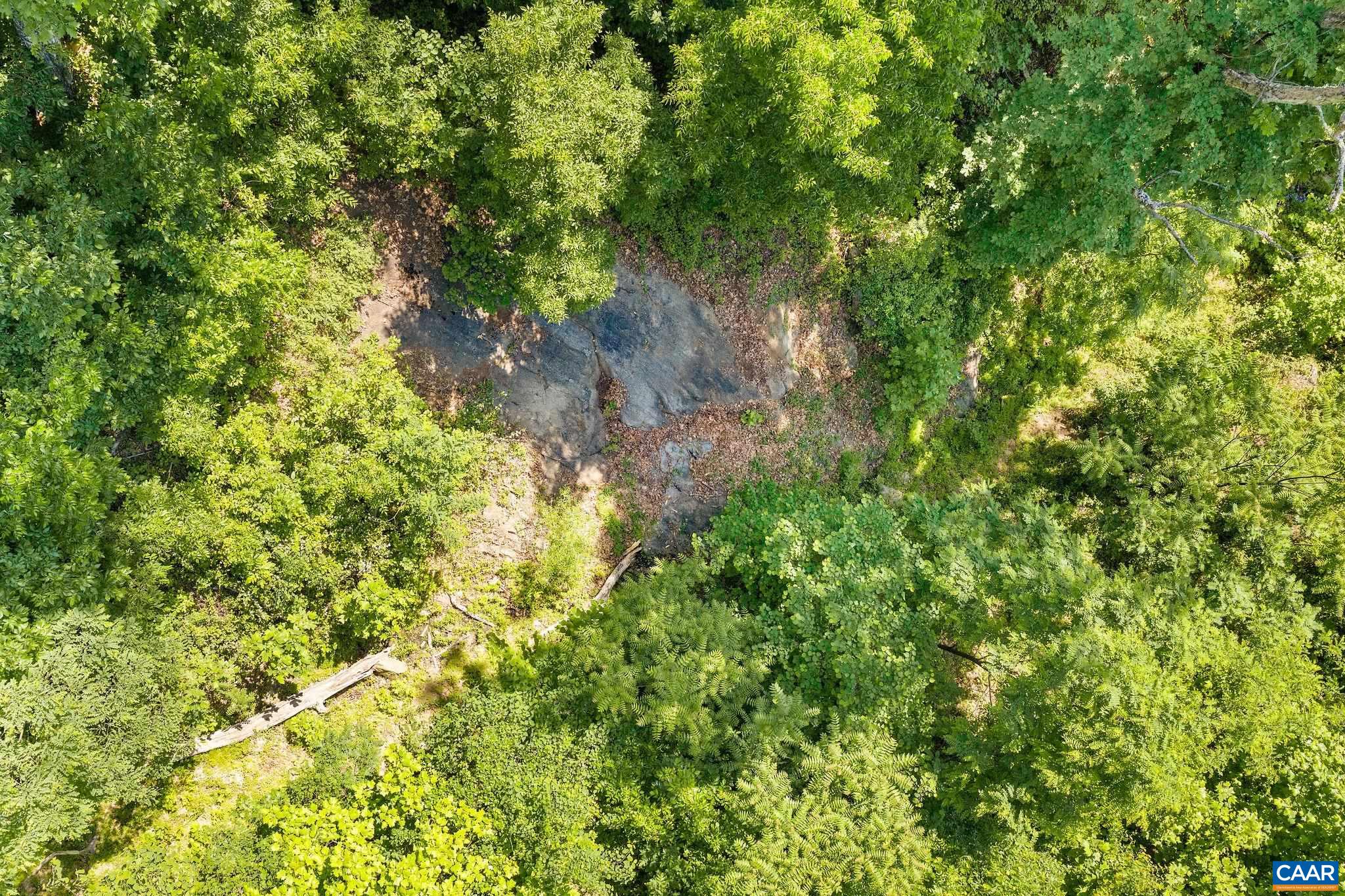 TBD POORHOUSE RD, CHARLOTTESVILLE, Virginia 22903, ,Farm,14,TBD POORHOUSE RD,677545 MLS # 677545