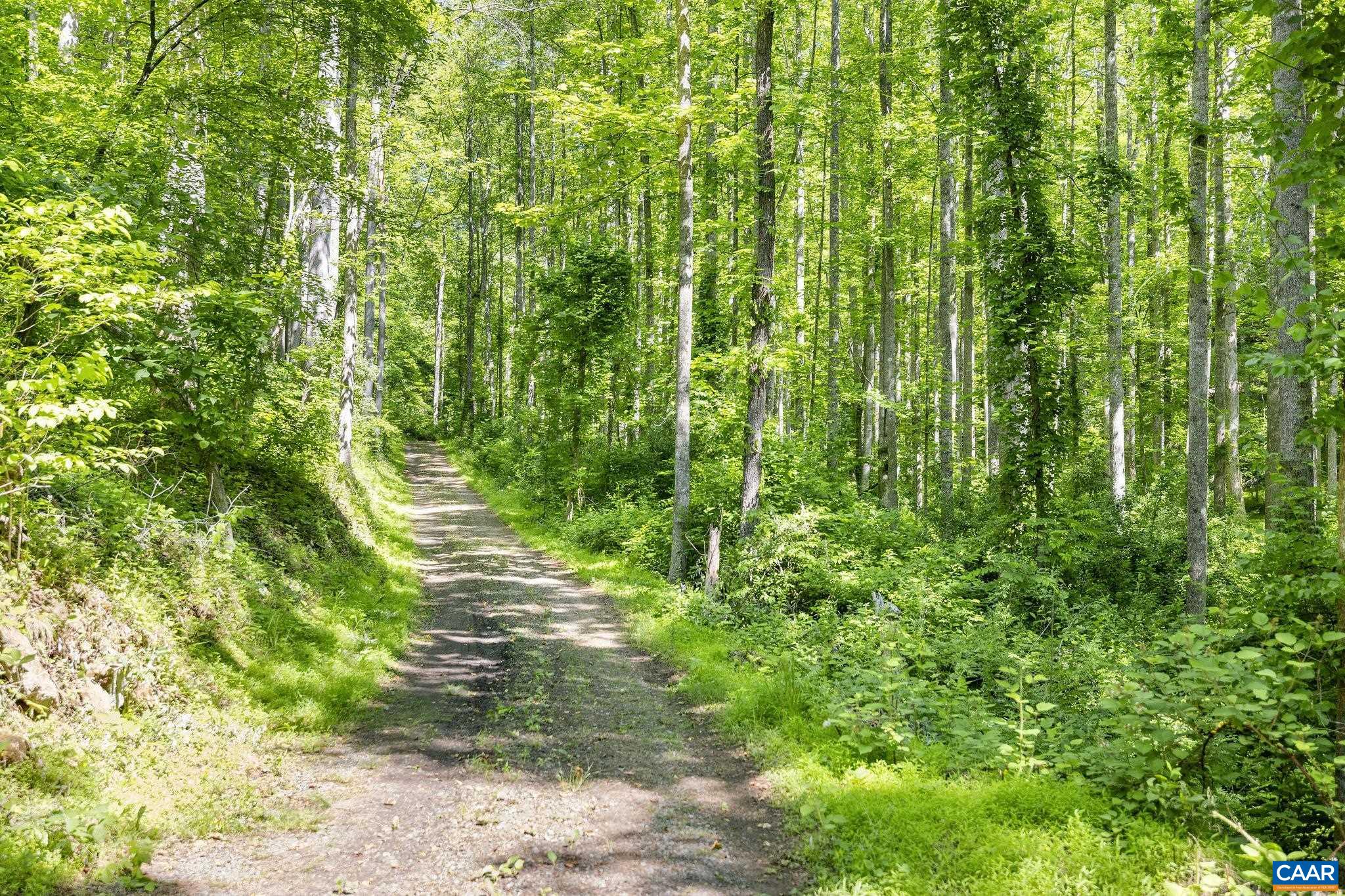 TBD POORHOUSE RD, CHARLOTTESVILLE, Virginia 22903, ,Farm,14,TBD POORHOUSE RD,677545 MLS # 677545