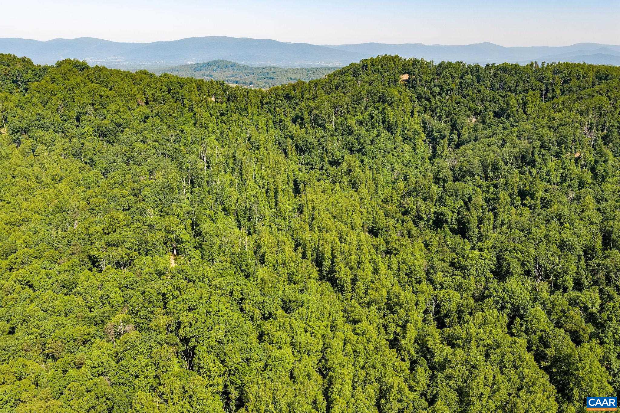TBD POORHOUSE RD, CHARLOTTESVILLE, Virginia 22903, ,Farm,14,TBD POORHOUSE RD,677545 MLS # 677545
