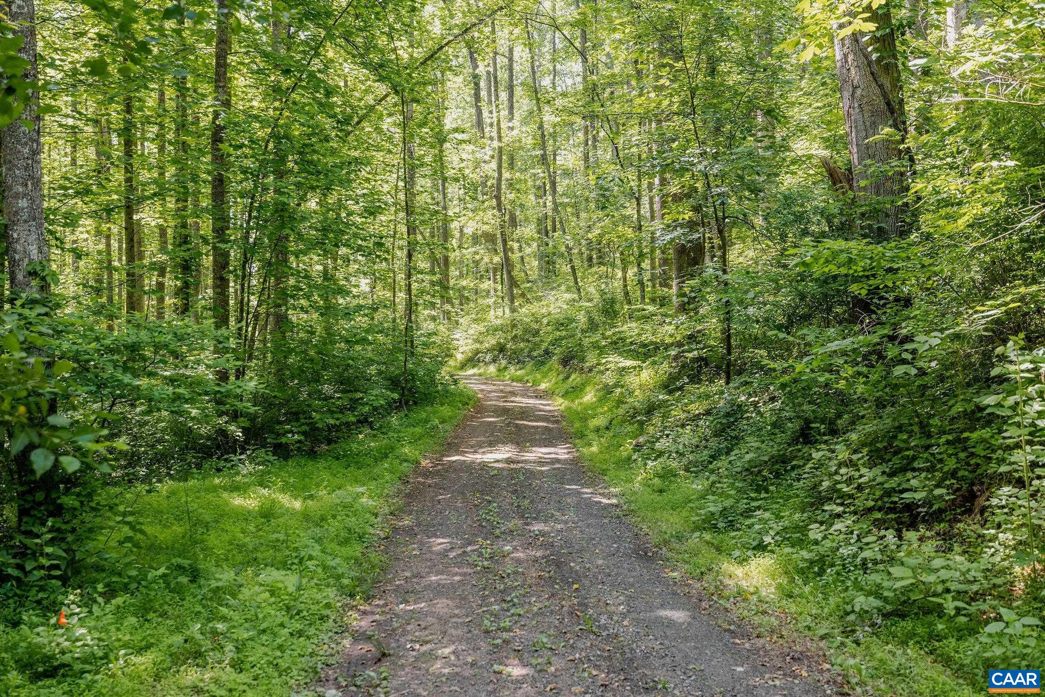 TBD POORHOUSE RD, CHARLOTTESVILLE, Virginia 22903, ,Farm,14,TBD POORHOUSE RD,677545 MLS # 677545