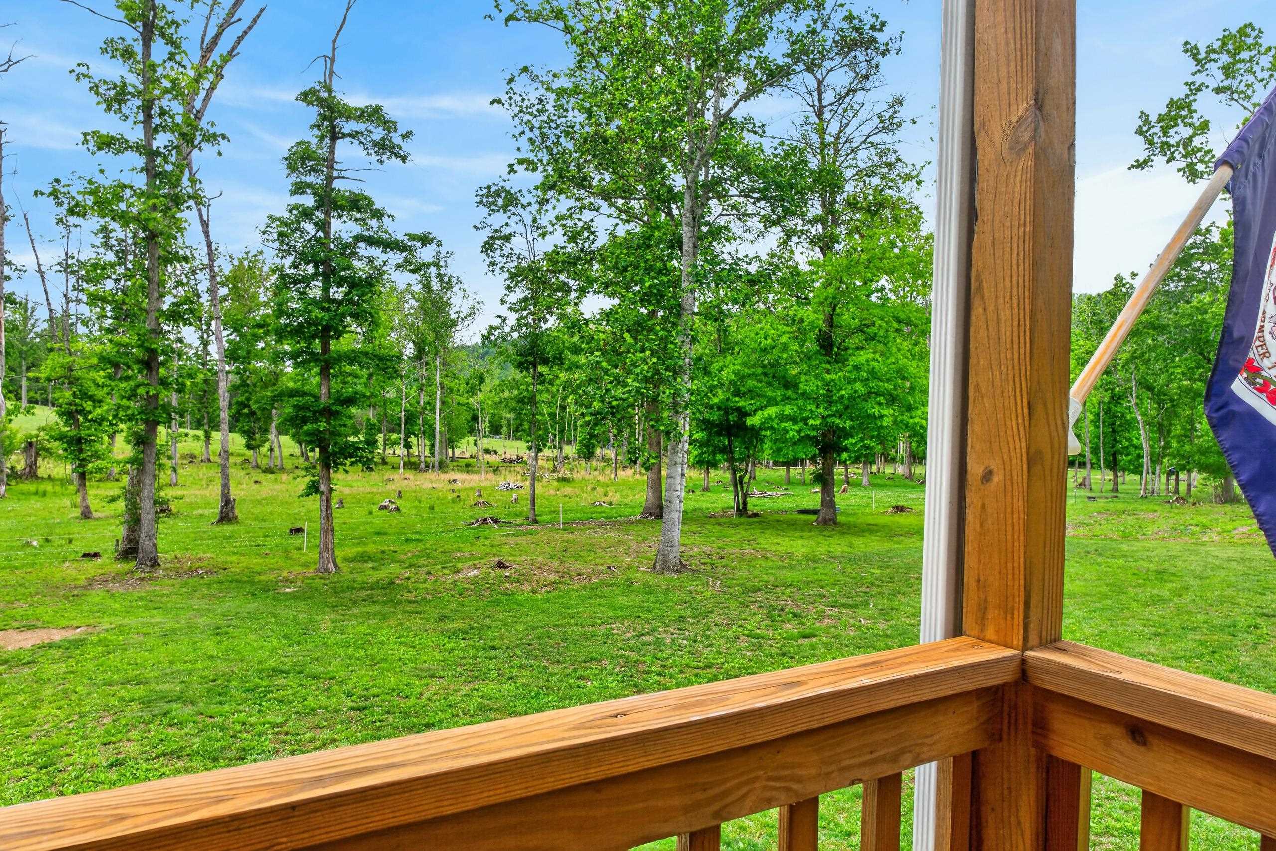 594 ESTALINE VALLEY RD, CRAIGSVILLE, Virginia 24430, 3 Bedrooms Bedrooms, ,2 BathroomsBathrooms,Residential,14,594 ESTALINE VALLEY RD,677707 MLS # 677707