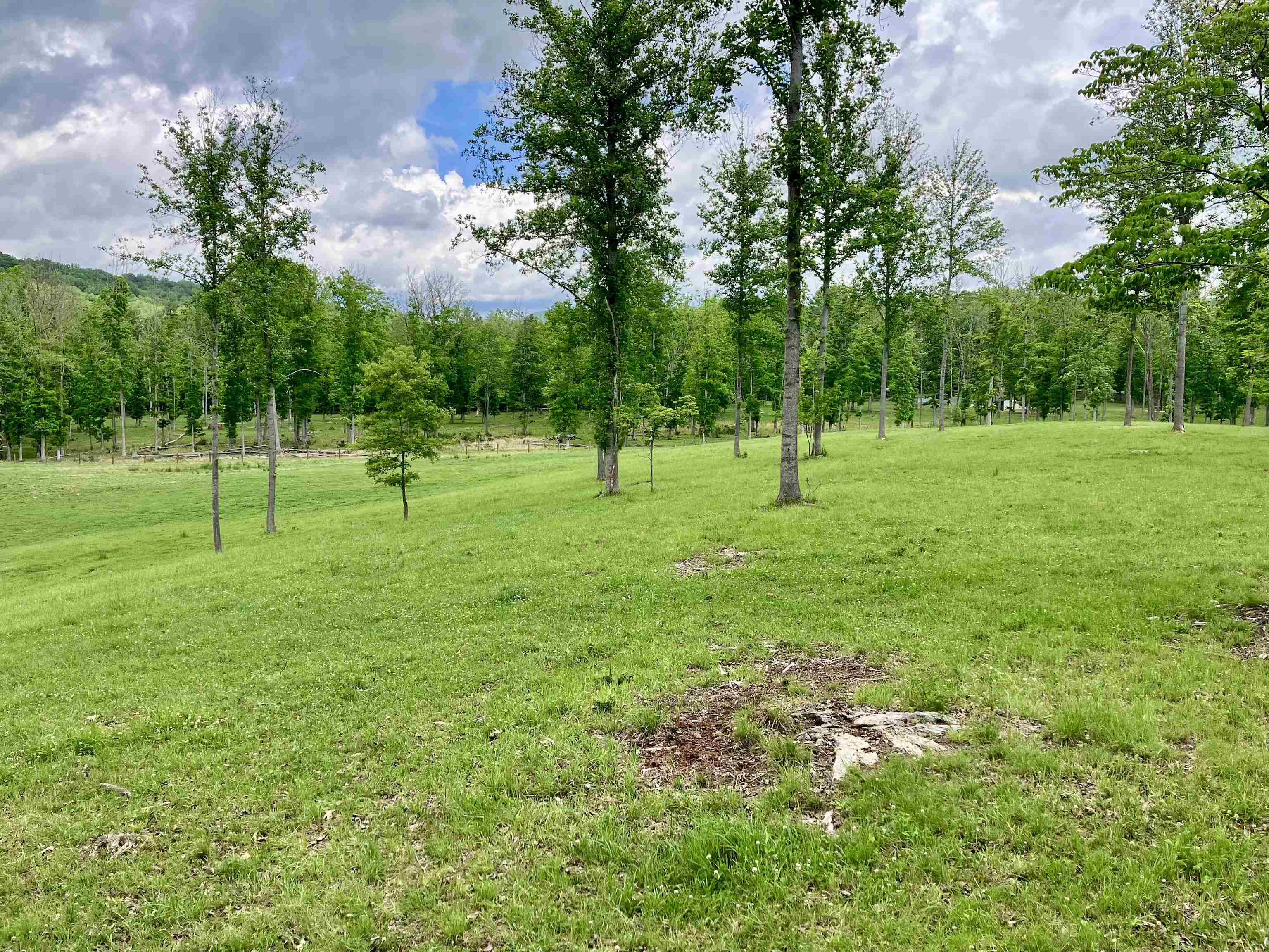 594 ESTALINE VALLEY RD, CRAIGSVILLE, Virginia 24430, 3 Bedrooms Bedrooms, ,2 BathroomsBathrooms,Residential,14,594 ESTALINE VALLEY RD,677707 MLS # 677707