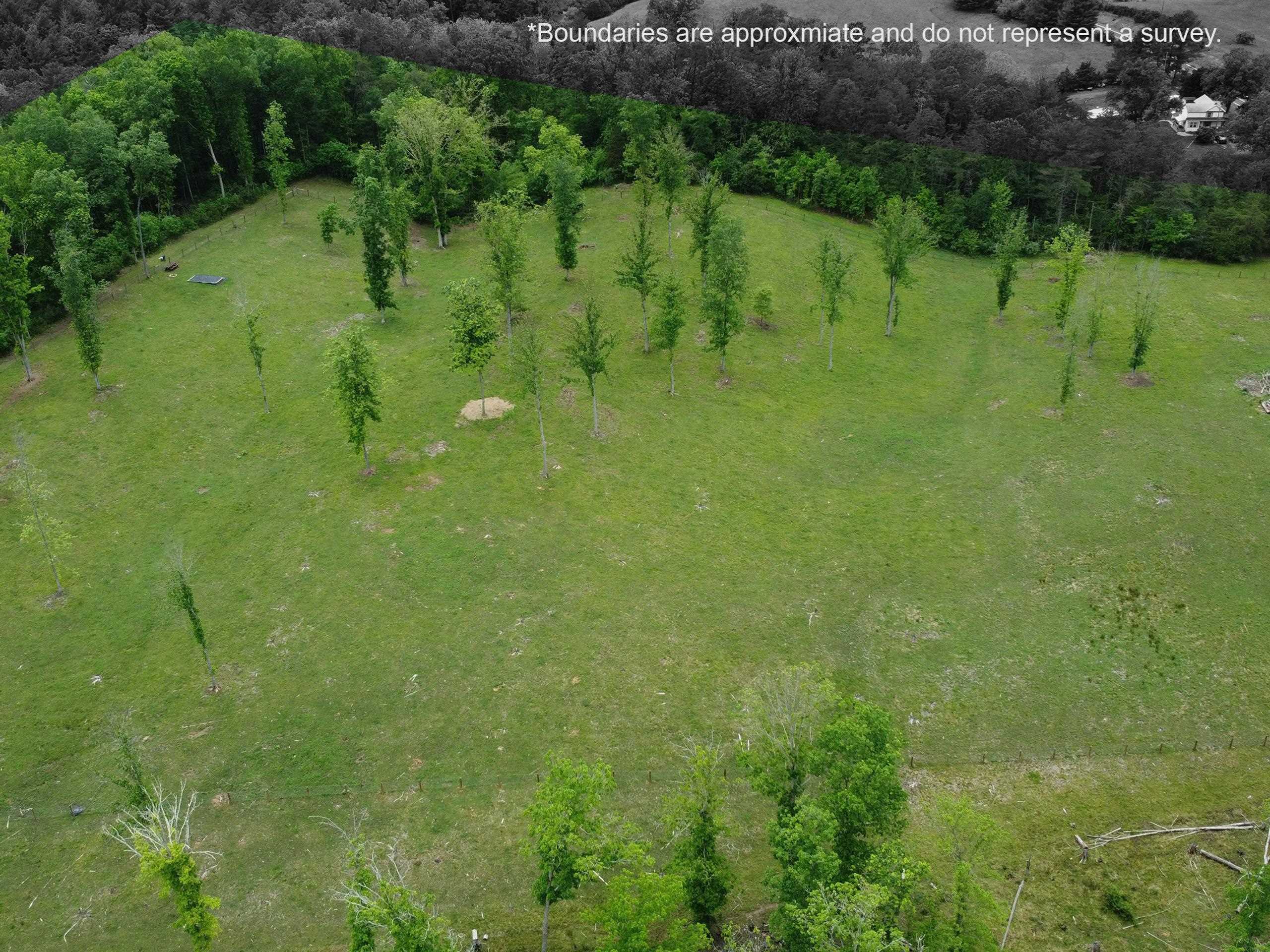 594 ESTALINE VALLEY RD, CRAIGSVILLE, Virginia 24430, 3 Bedrooms Bedrooms, ,2 BathroomsBathrooms,Residential,14,594 ESTALINE VALLEY RD,677707 MLS # 677707