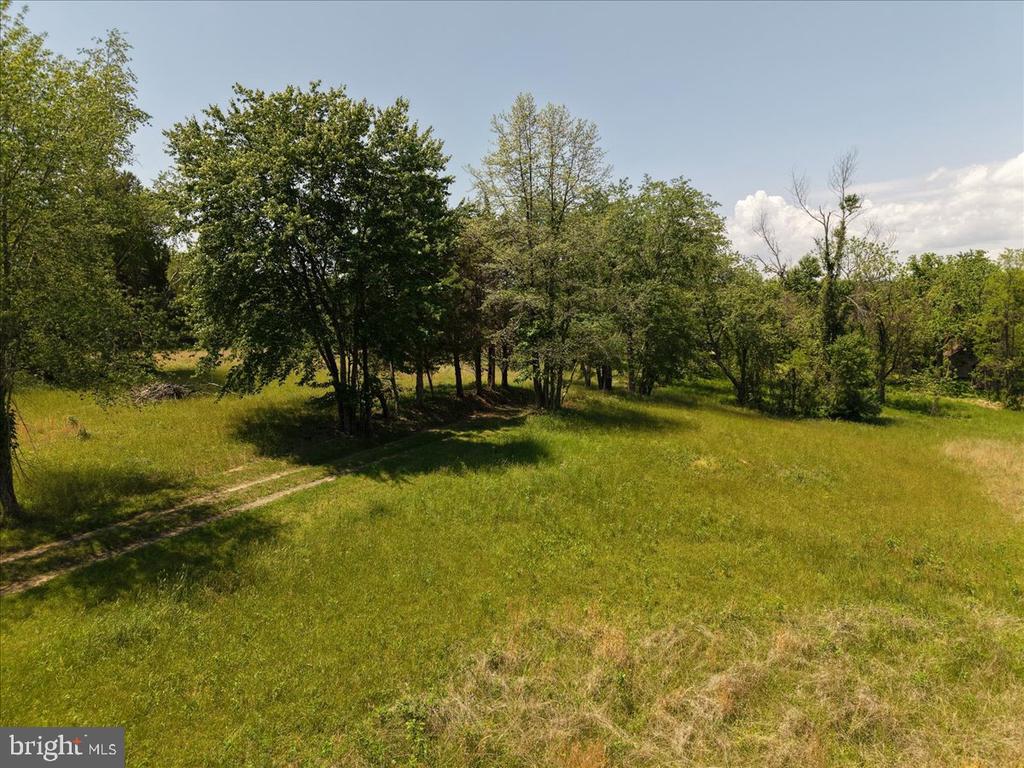 4266 INDIAN RUN RD, AMISSVILLE, Virginia 20106, ,Farm,14,4266 INDIAN RUN RD,VACU2013692 MLS # VACU2013692 4266 INDIAN RUN RD, AMISSVILLE, Virginia 20106, ,Farm,14,4266 INDIAN RUN RD,VACU2013692 MLS # VACU2013692