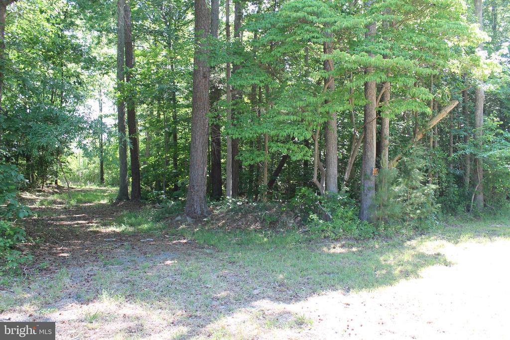 6019 HICKORY RIDGE RD, SPOTSYLVANIA, Virginia 22551, 4 Bedrooms Bedrooms, ,1 BathroomBathrooms,Residential,14,6019 HICKORY RIDGE RD,VASP2042090 MLS # VASP2042090 6019 HICKORY RIDGE RD, SPOTSYLVANIA, Virginia 22551, 4 Bedrooms Bedrooms, ,1 BathroomBathrooms,Residential,14,6019 HICKORY RIDGE RD,VASP2042090 MLS # VASP2042090