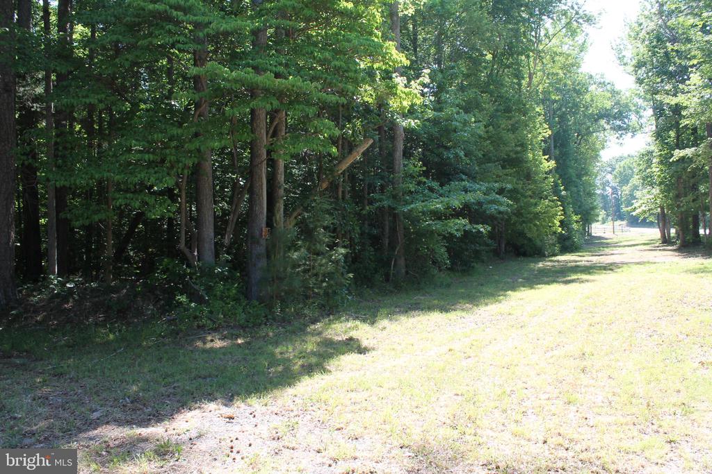 6019 HICKORY RIDGE RD, SPOTSYLVANIA, Virginia 22551, 4 Bedrooms Bedrooms, ,1 BathroomBathrooms,Residential,14,6019 HICKORY RIDGE RD,VASP2042090 MLS # VASP2042090 6019 HICKORY RIDGE RD, SPOTSYLVANIA, Virginia 22551, 4 Bedrooms Bedrooms, ,1 BathroomBathrooms,Residential,14,6019 HICKORY RIDGE RD,VASP2042090 MLS # VASP2042090