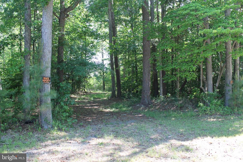 6019 HICKORY RIDGE RD, SPOTSYLVANIA, Virginia 22551, 4 Bedrooms Bedrooms, ,1 BathroomBathrooms,Residential,14,6019 HICKORY RIDGE RD,VASP2042090 MLS # VASP2042090 6019 HICKORY RIDGE RD, SPOTSYLVANIA, Virginia 22551, 4 Bedrooms Bedrooms, ,1 BathroomBathrooms,Residential,14,6019 HICKORY RIDGE RD,VASP2042090 MLS # VASP2042090