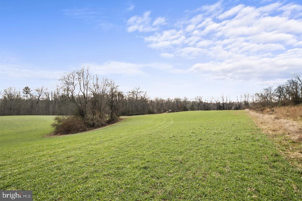 7389 LEEDS MANOR RD, MARSHALL, Virginia 20115, 3 Bedrooms Bedrooms, ,2 BathroomsBathrooms,Residential,14,7389 LEEDS MANOR RD,VAFQ2022324 MLS # VAFQ2022324 7389 LEEDS MANOR RD, MARSHALL, Virginia 20115, 3 Bedrooms Bedrooms, ,2 BathroomsBathrooms,Residential,14,7389 LEEDS MANOR RD,VAFQ2022324 MLS # VAFQ2022324