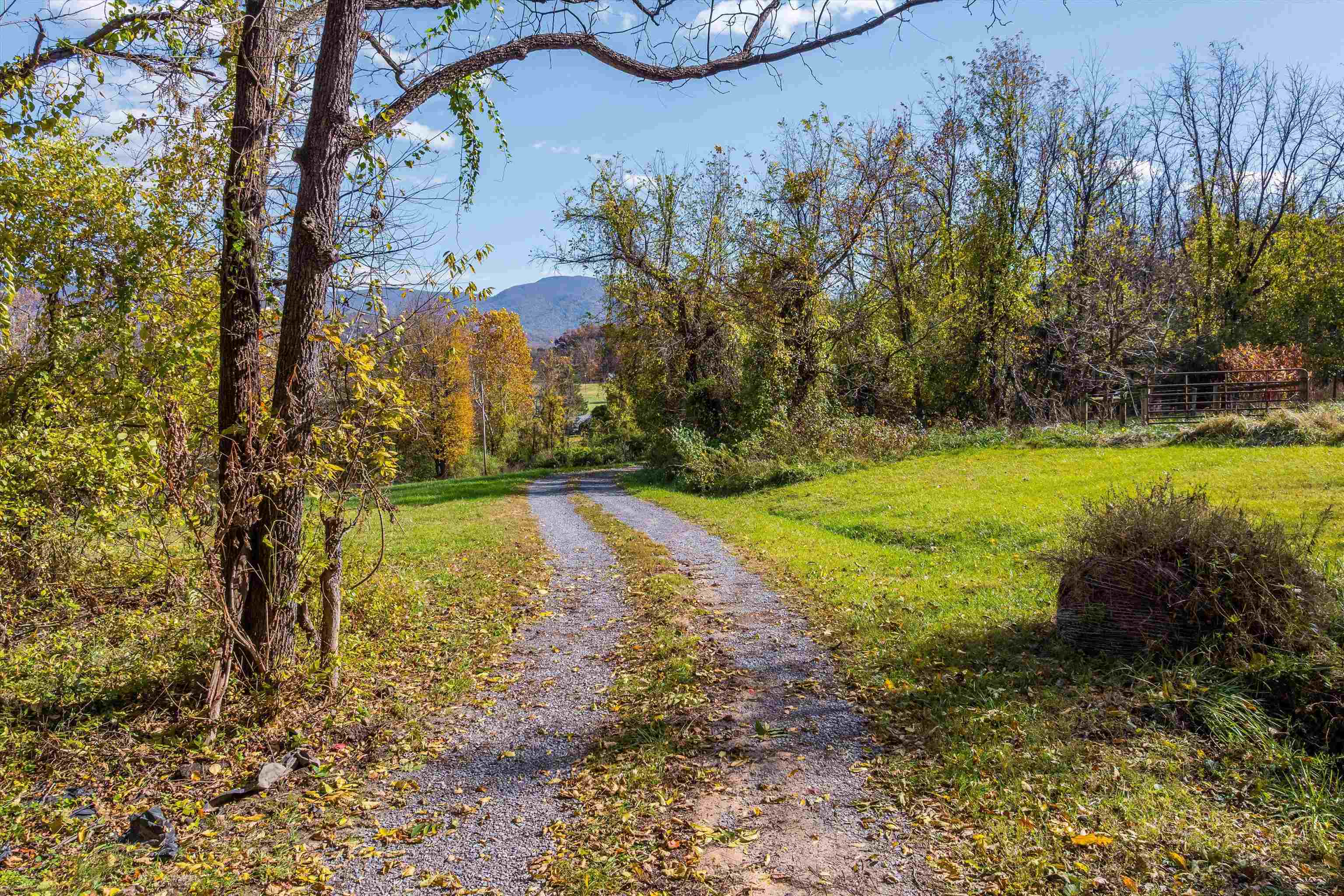 326 & 328 RUNNING PINE RD, LURAY, Virginia 22835, ,Residential,14,326 & 328 RUNNING PINE RD,677880 MLS # 677880 326 & 328 RUNNING PINE RD, LURAY, Virginia 22835, ,Residential,14,326 & 328 RUNNING PINE RD,677880 MLS # 677880